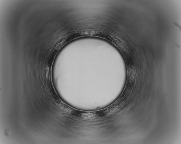 X0000097980511200804141120