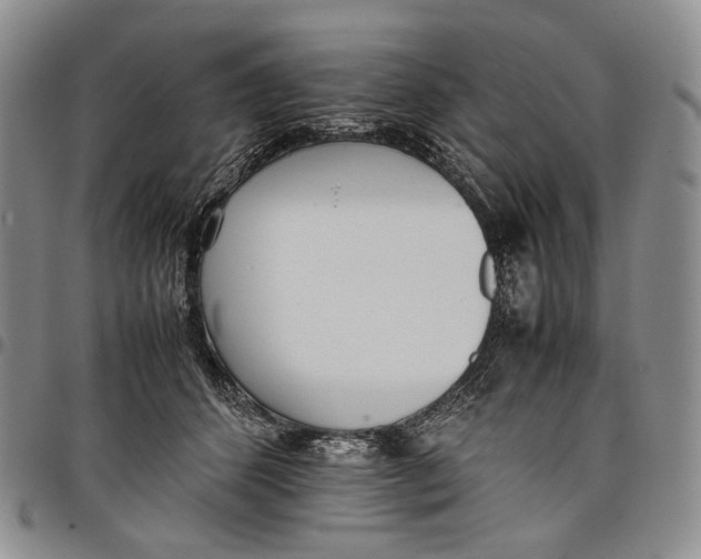 X0000097980512200804141120