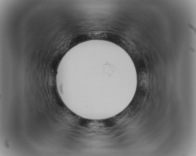 X0000097980515200804141120