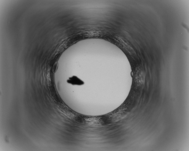 X0000097980516200804141120