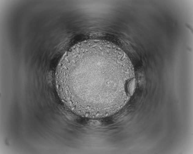 X0000097980519200804141120