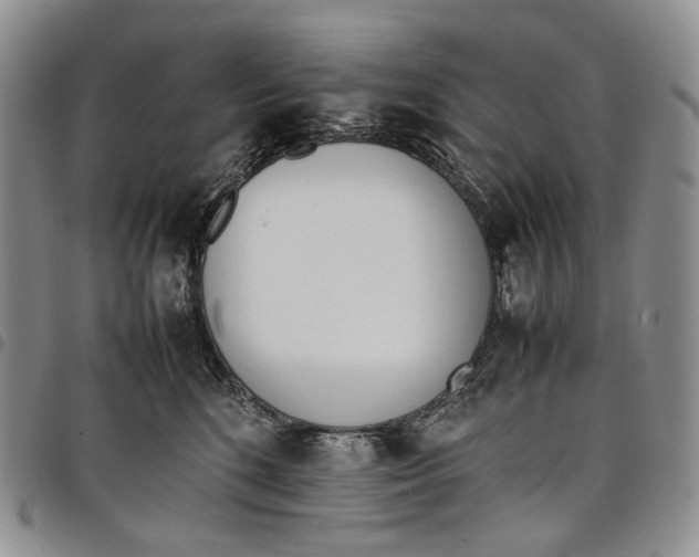 X0000097980520200804141120