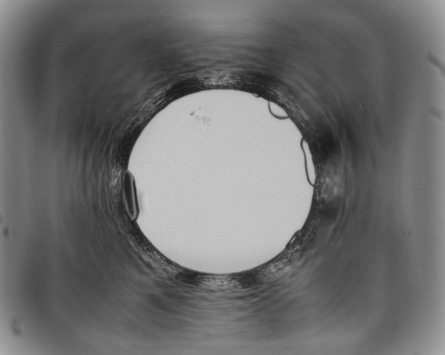 X0000097980521200804141120