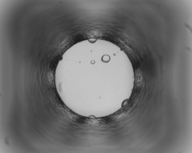 X0000097980523200804141120