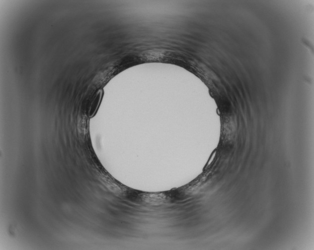 X0000097980525200804141120