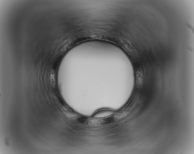 X0000097980527200804141120