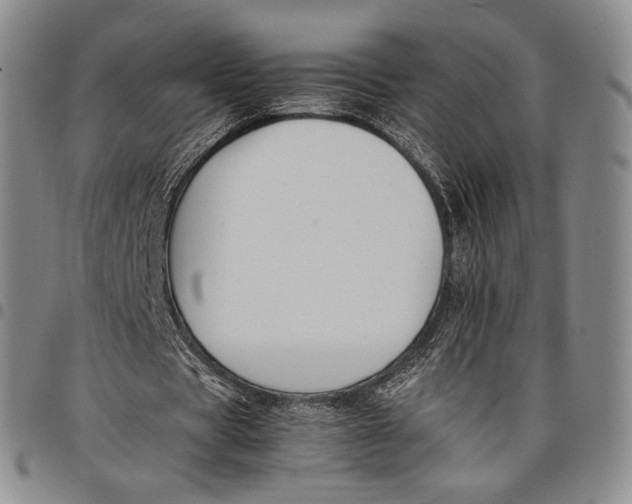 X0000097980529200804141119