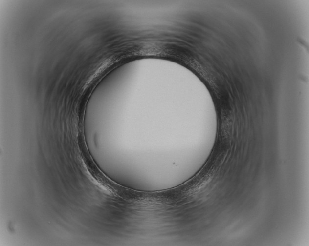 X0000097980530200804141119