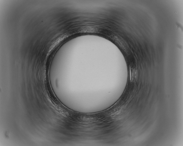 X0000097980531200804141119