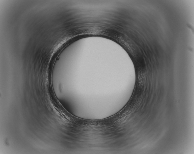 X0000097980532200804141119