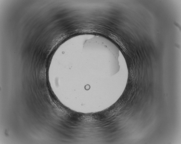 X0000097980534200804141119