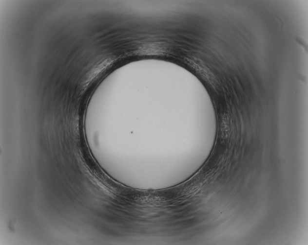 X0000097980535200804141119