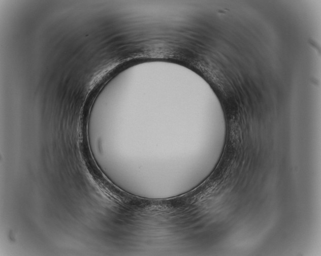 X0000097980536200804141119