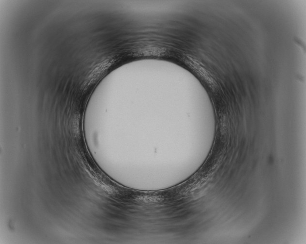 X0000097980537200804141119