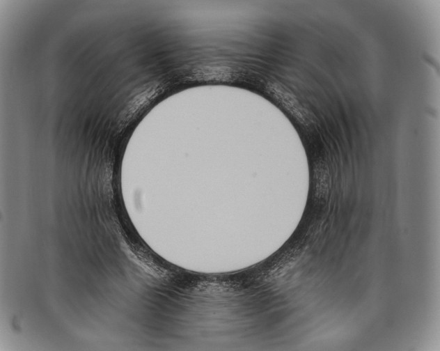 X0000097980538200804141119