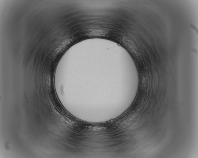 X0000097980539200804141119