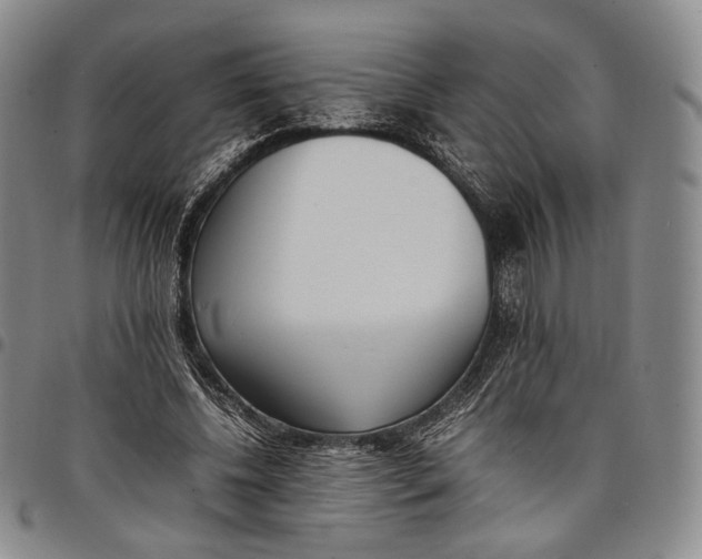 X0000097980540200804141119