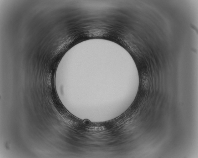 X0000097980543200804141119