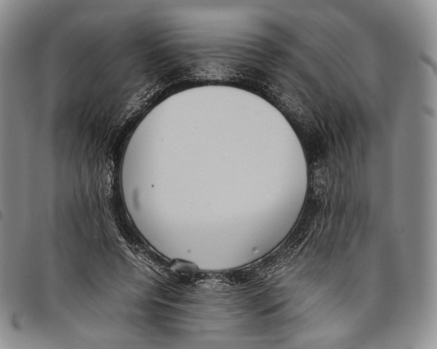 X0000097980544200804141119