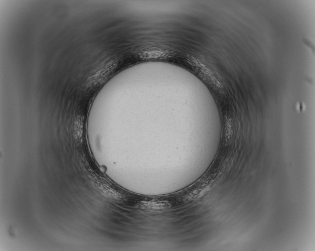 X0000097980545200804141119