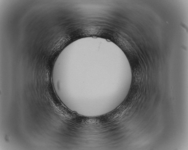 X0000097980546200804141119