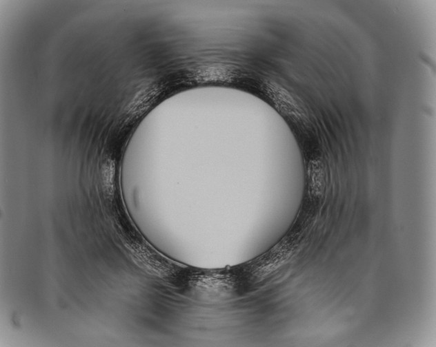 X0000097980550200804141119