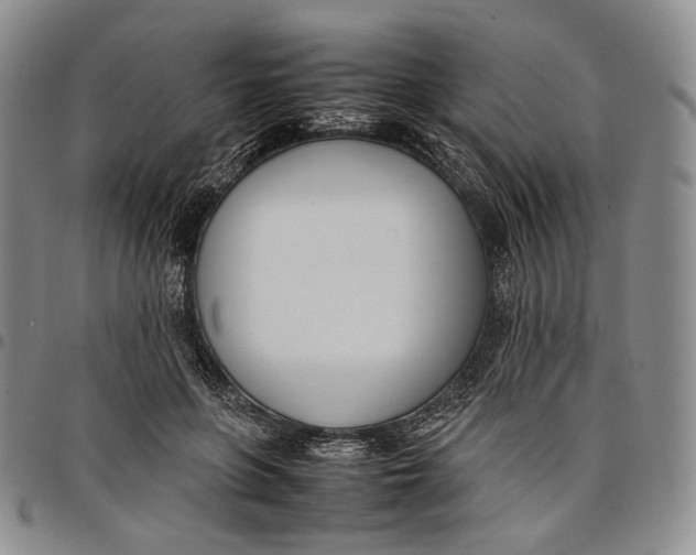 X0000097980551200804141119