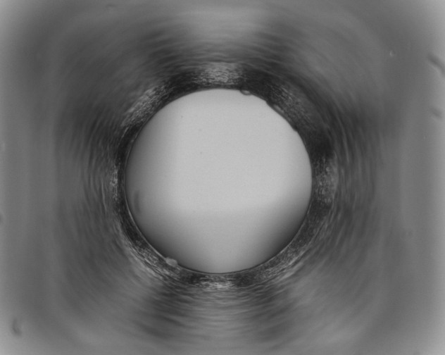 X0000097980552200804141119