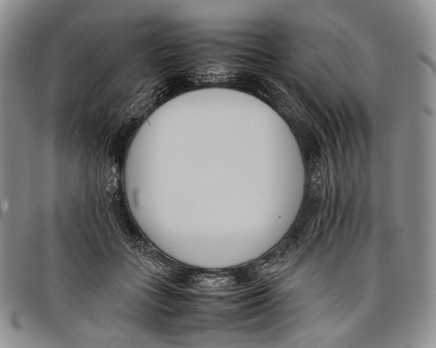 X0000097980555200804141119