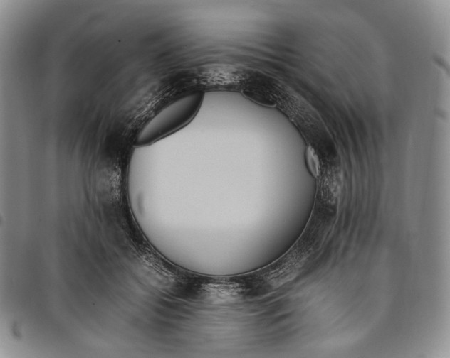 X0000097980556200804141119