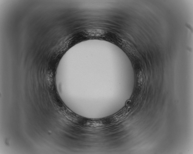 X0000097980559200804141119