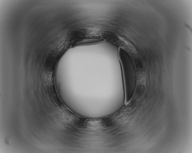 X0000097980560200804141119