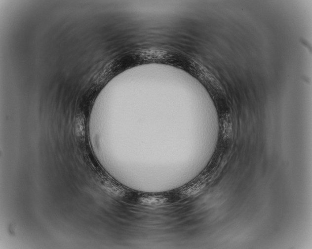 X0000097980561200804141119