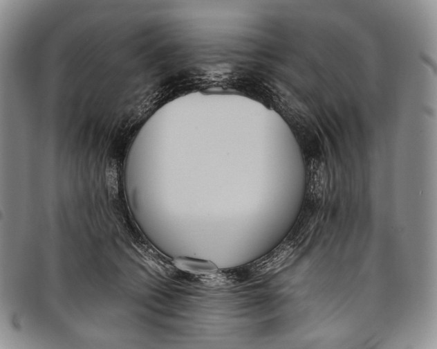 X0000097980562200804141119