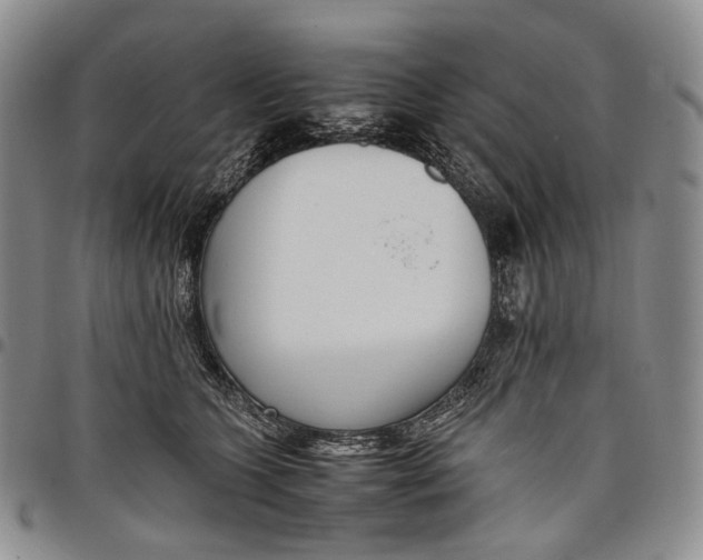 X0000097980563200804141119