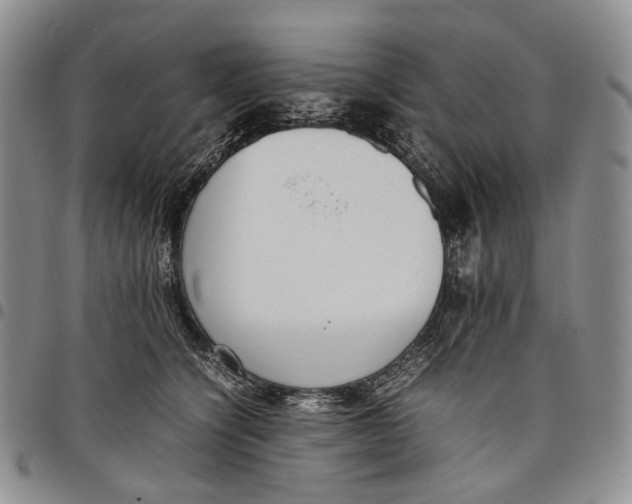 X0000097980564200804141119