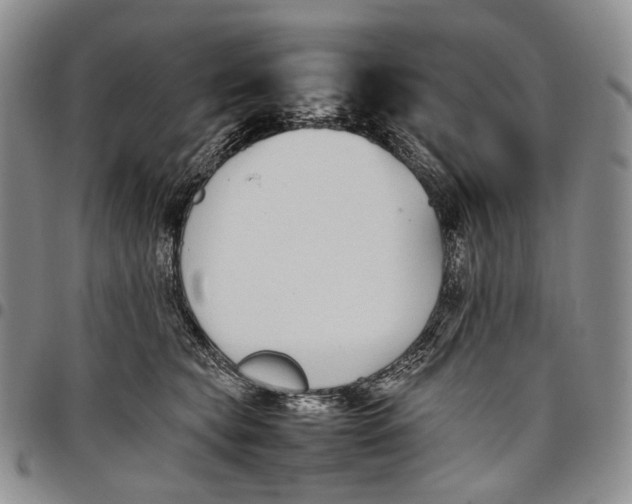 X0000097980565200804141119