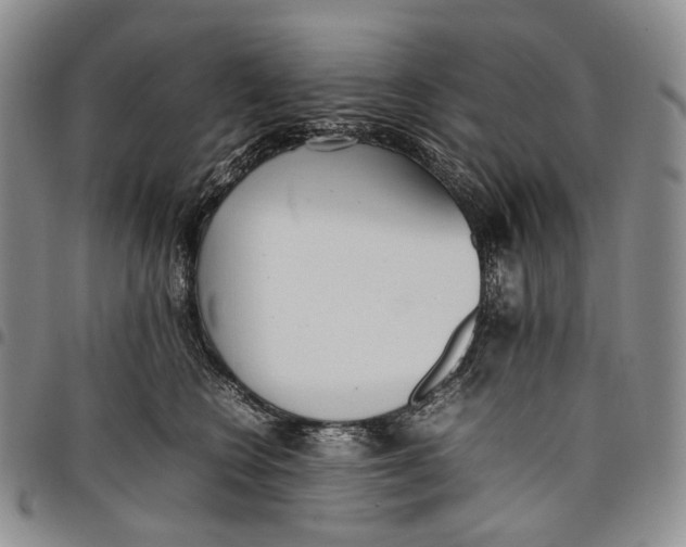 X0000097980566200804141120