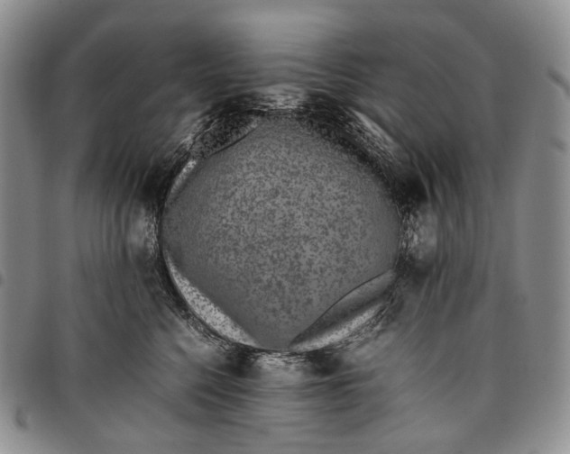 X0000097980568200804141120