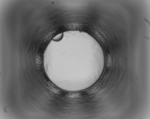 X0000097980569200804141120