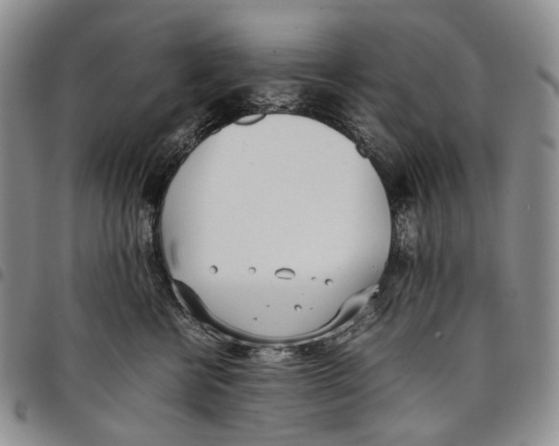 X0000097980570200804141120