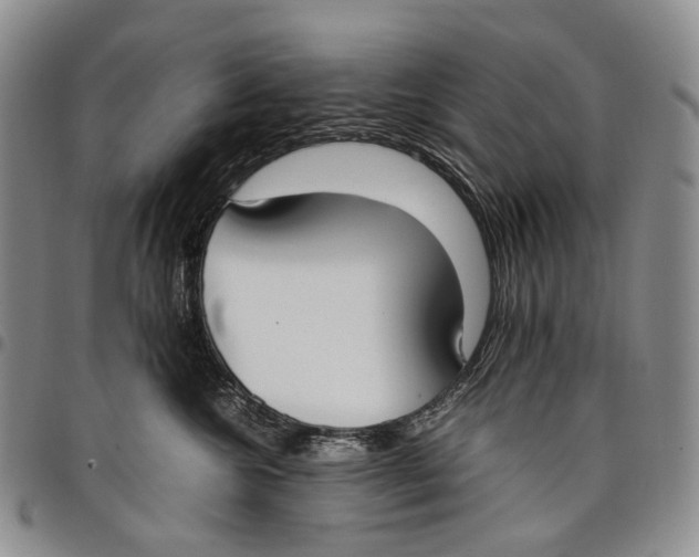 X0000097980572200804141120