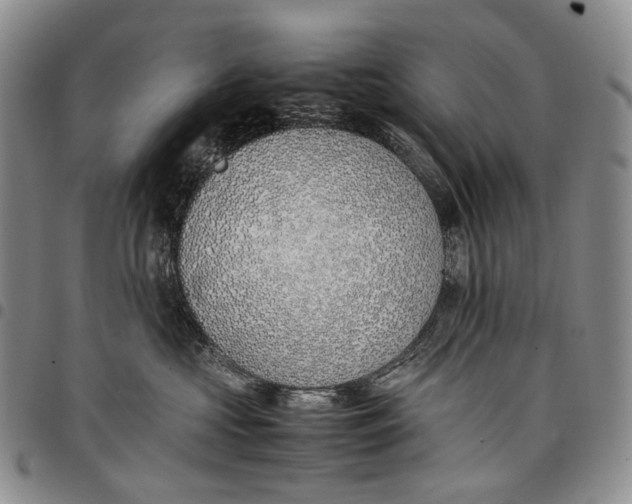 X0000097980573200804141120