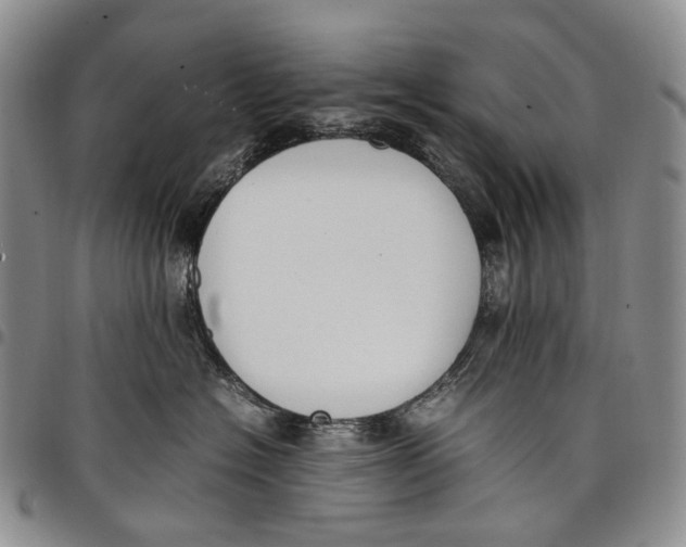 X0000097980574200804141120