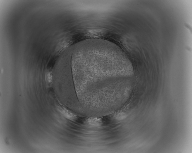 X0000097980576200804141120