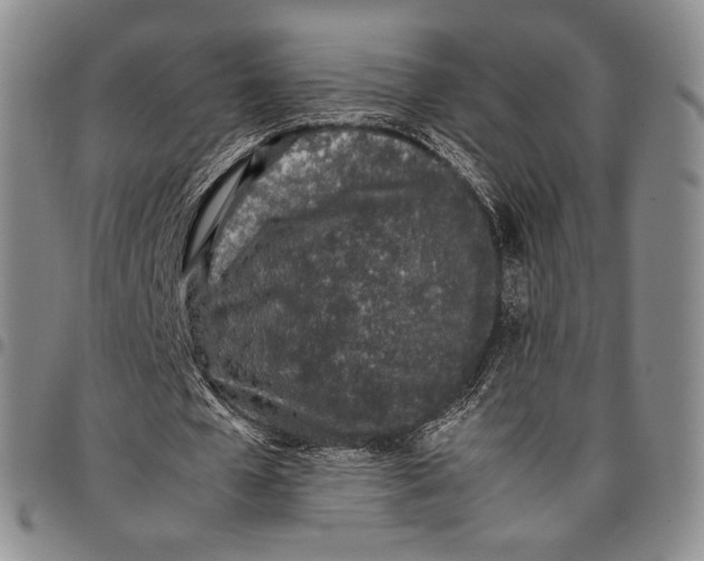 X0000097980577200804141119