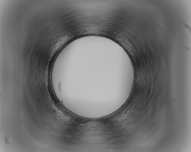 X0000097980578200804141119