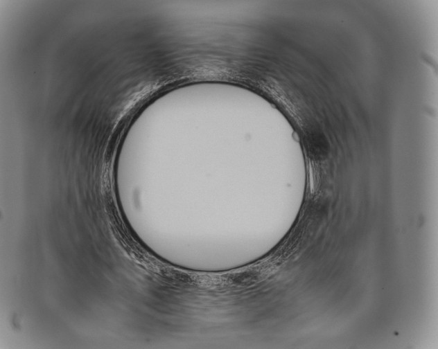 X0000097980579200804141119