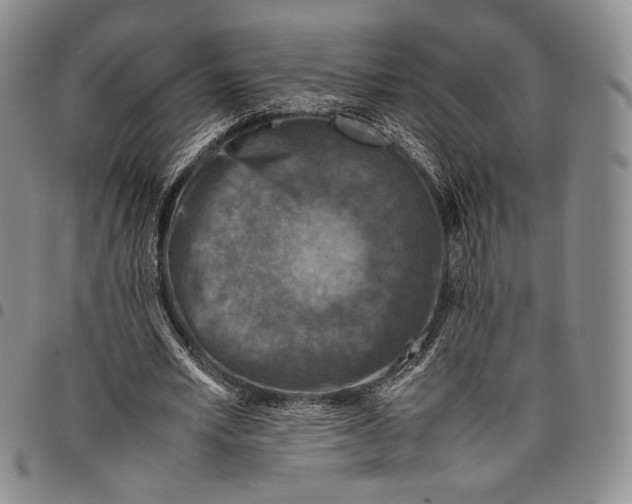 X0000097980581200804141119