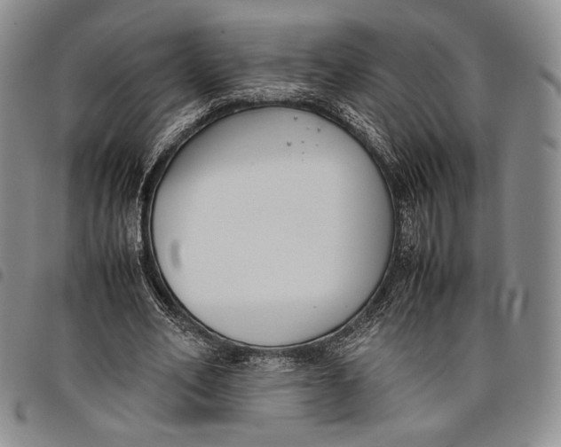 X0000097980582200804141119